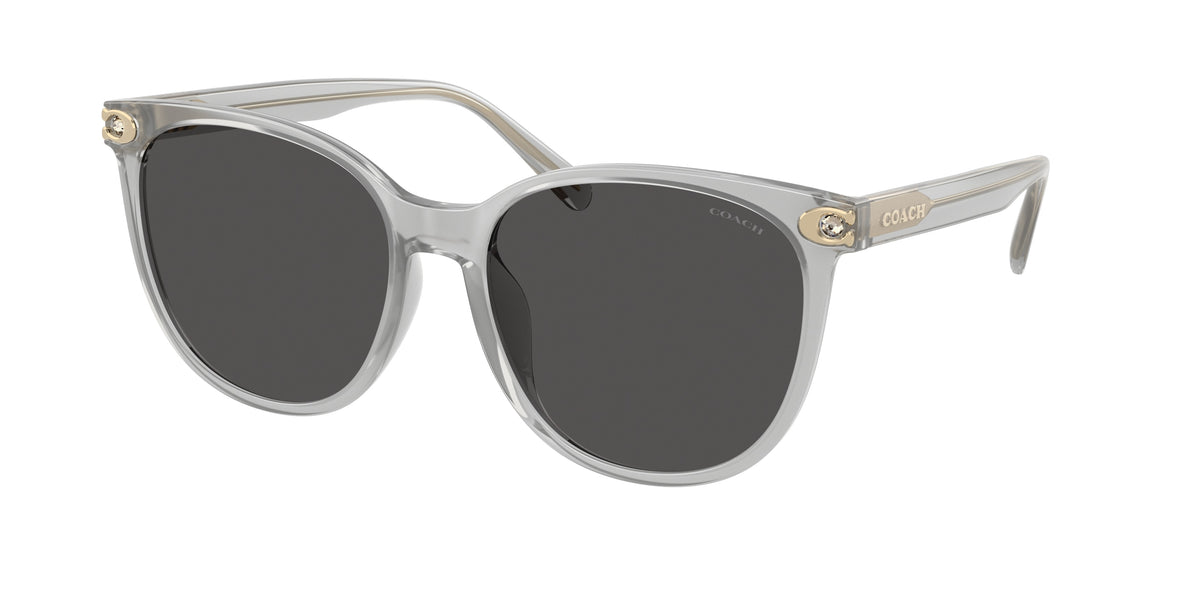 Coach HC8414BD Transparent Dove Sunglasses