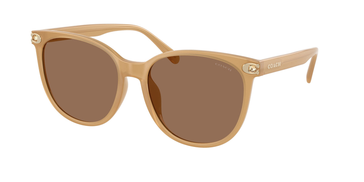 Coach HC8414BD Milky Tea Sunglasses