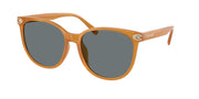 Coach HC8414BD Milky Amber Sunglasses