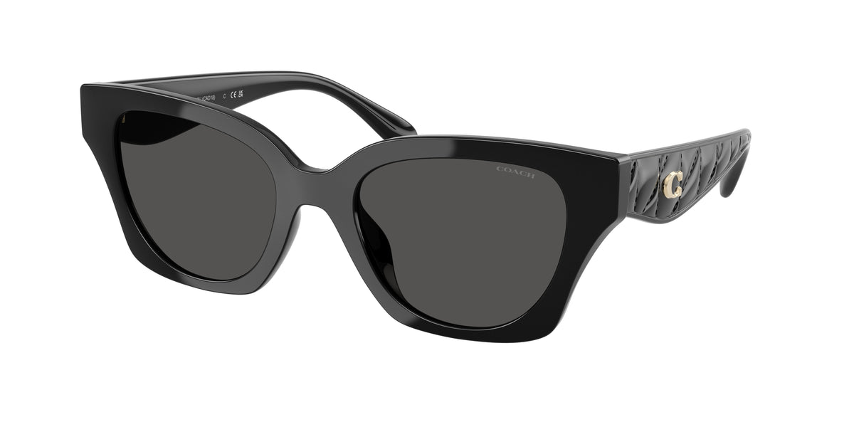 Coach HC8418U Black Sunglasses