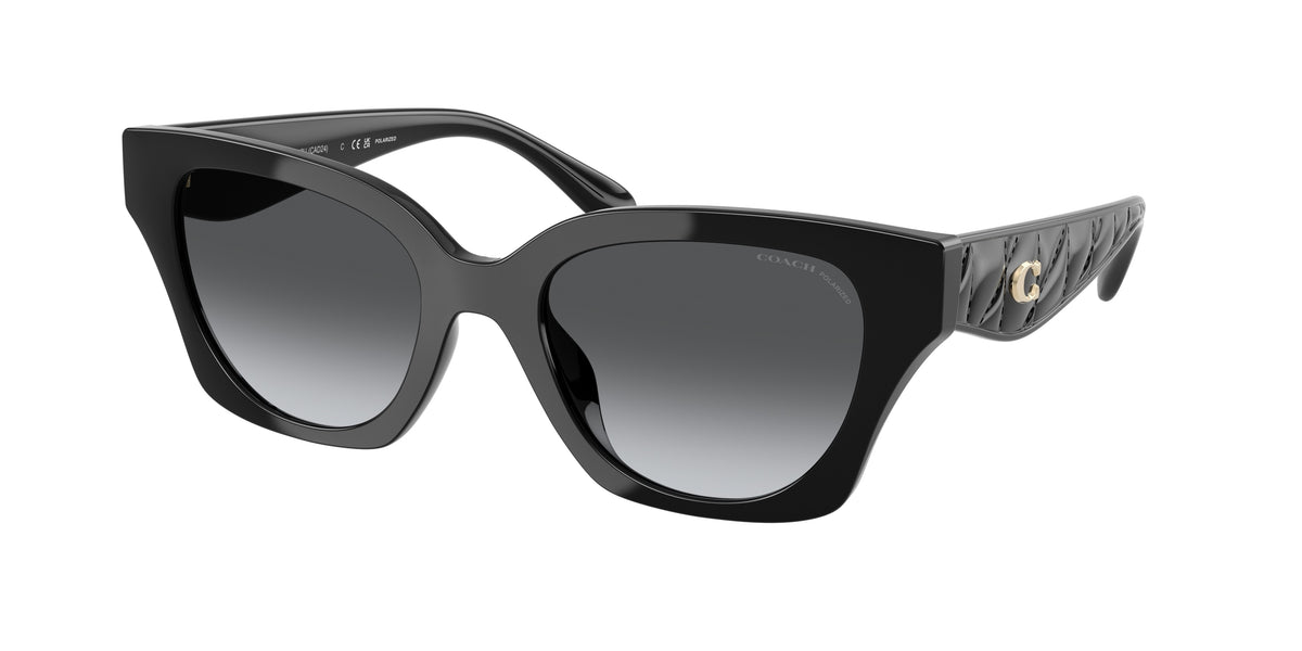 Coach HC8418U Black Sunglasses