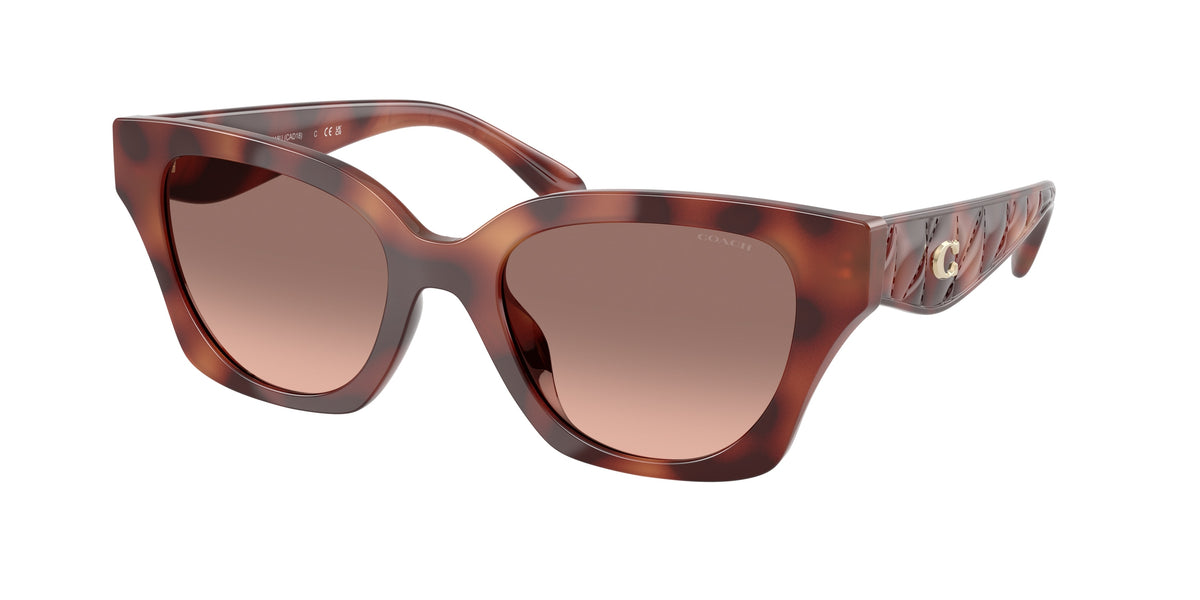 Coach HC8418U Caramel Tortoise Sunglasses
