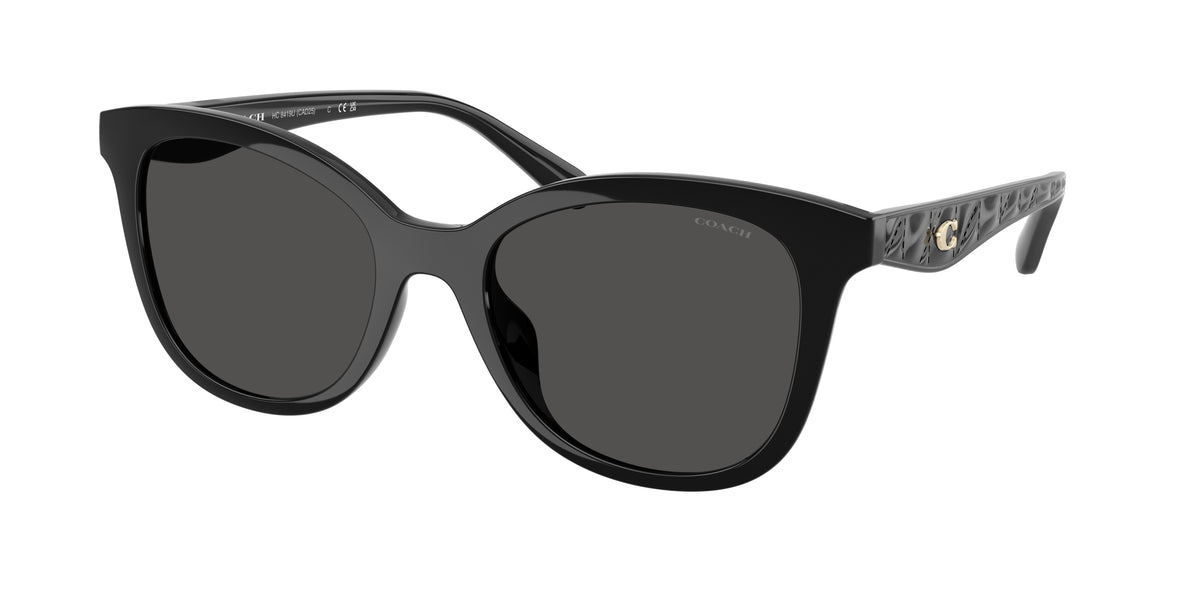 Coach HC8419U Black Sunglasses