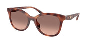 Coach HC8419U Caramel Tortoise Sunglasses