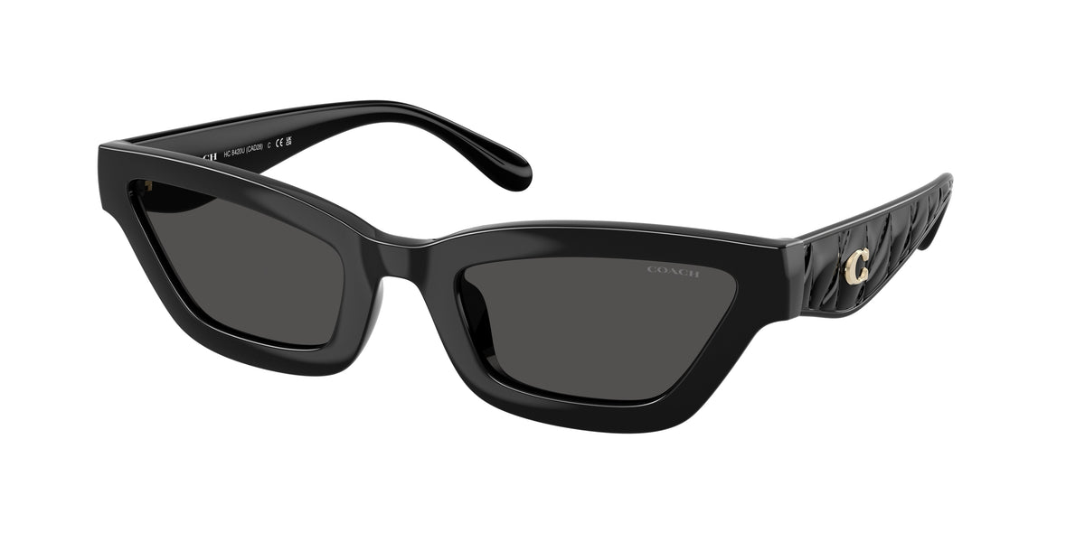 Coach HC8420U Black Sunglasses