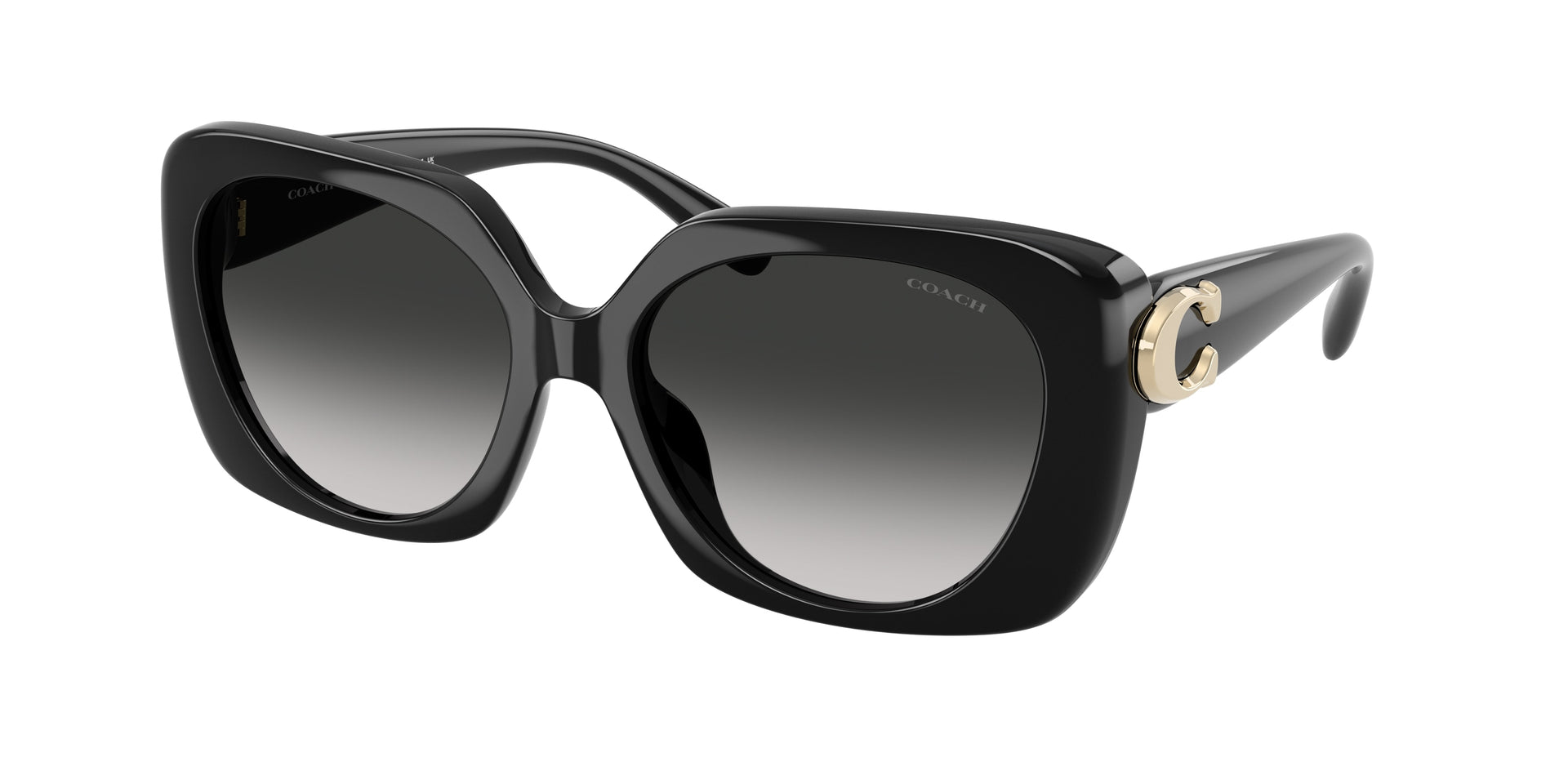 Coach HC8422U Black Sunglasses