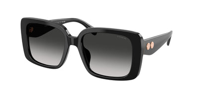 Coach HC8424F Sunglasses