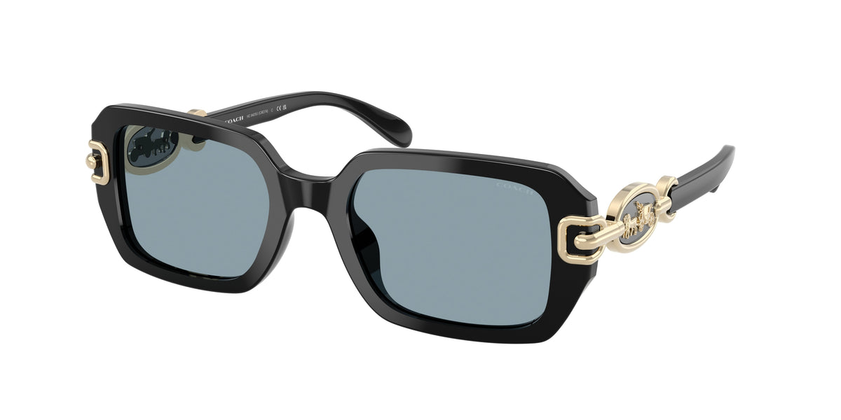 Coach HC8425U Black Sunglasses