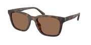 Coach HC8426U Matte Dark Tortoise Sunglasses