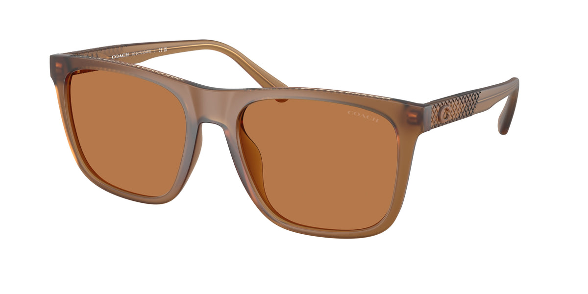 Coach HC8427U Matte Transparent Amber Sunglasses