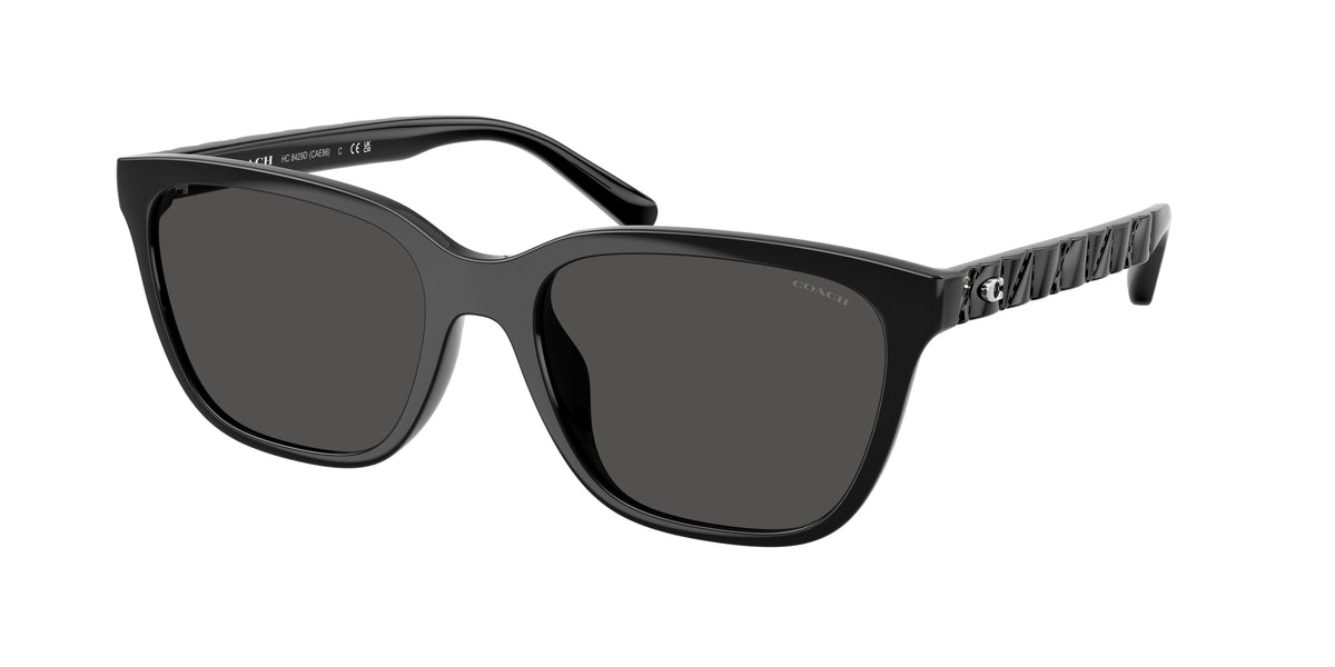 Coach HC8429D Black Sunglasses