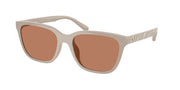 Coach HC8429D Khaki Solid Sunglasses
