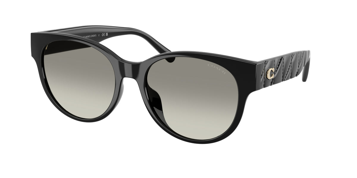 Coach HC8430D Black Sunglasses