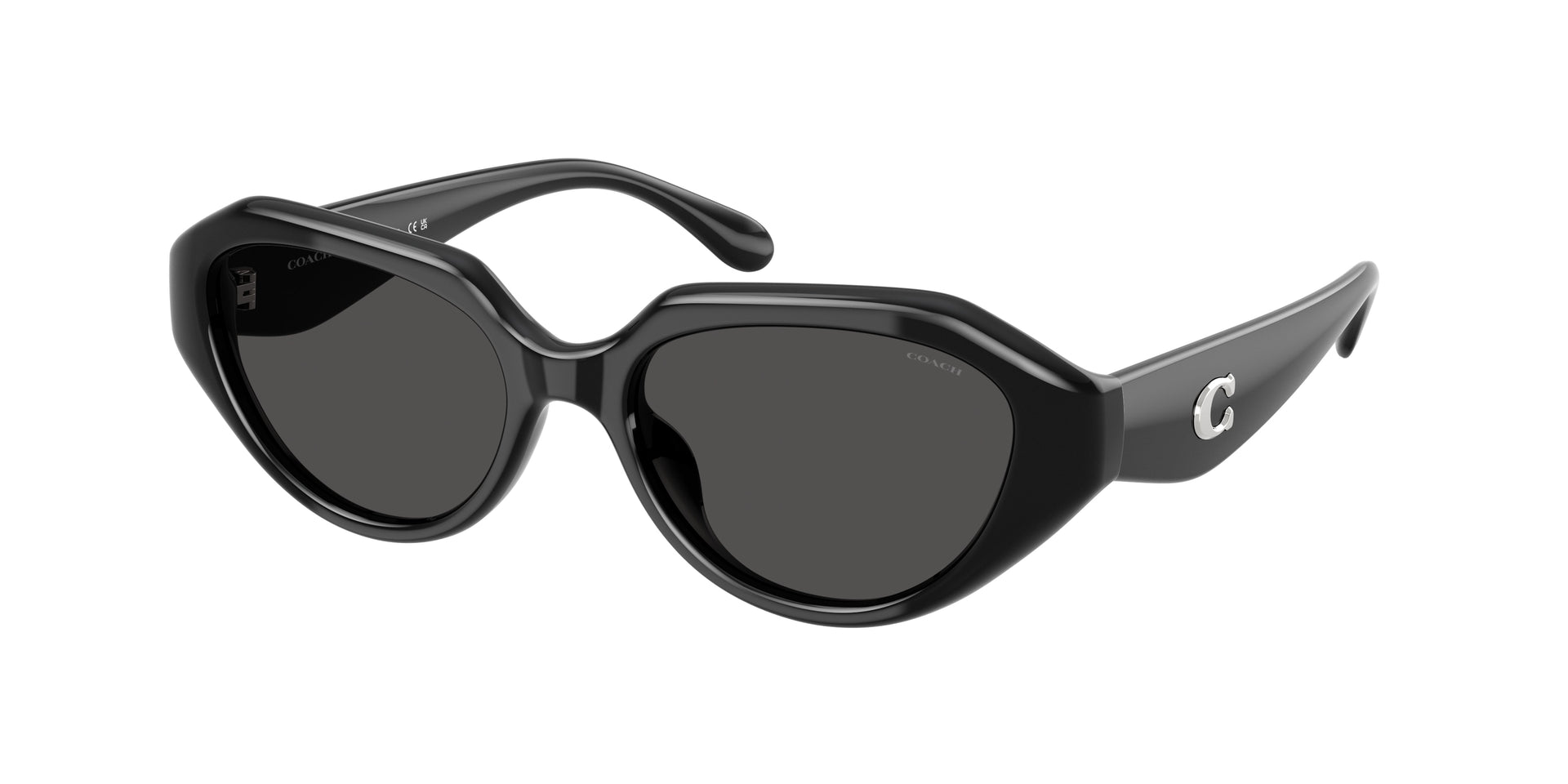 Coach HC8433U Black Sunglasses