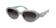 Coach HC8433U Milky Eucalyptus Sunglasses