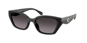 Coach HC8434U Black Sunglasses