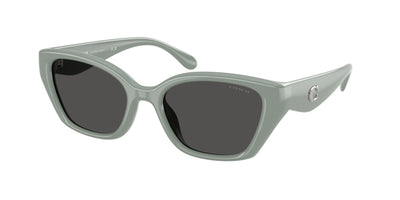 Coach HC8434U Sunglasses