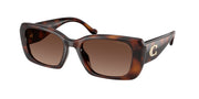 Coach HC8435U Dark Tortoise Sunglasses