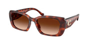 Coach HC8435U Caramel Tortoise Sunglasses