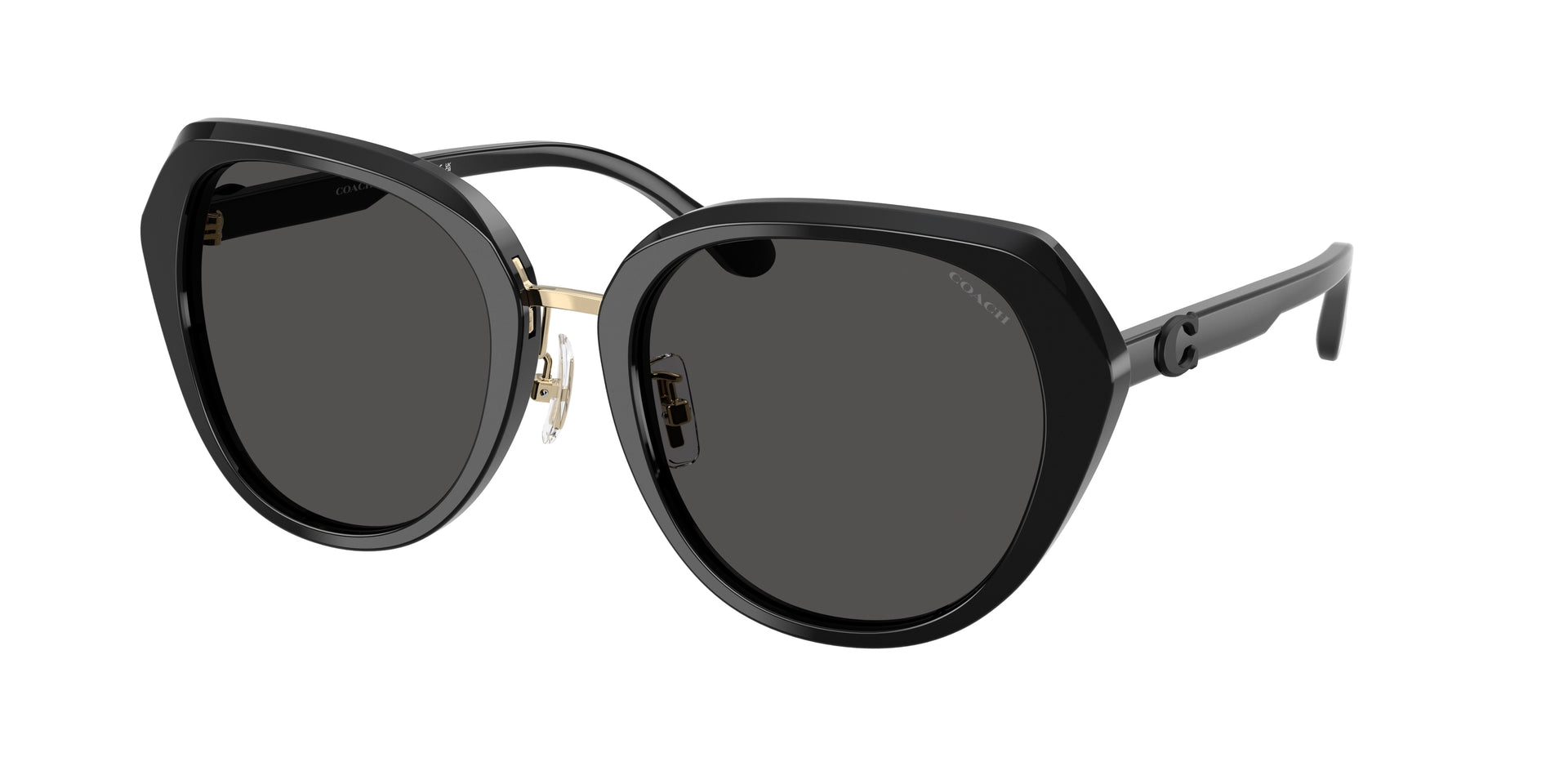 Coach HC8436 Black Sunglasses