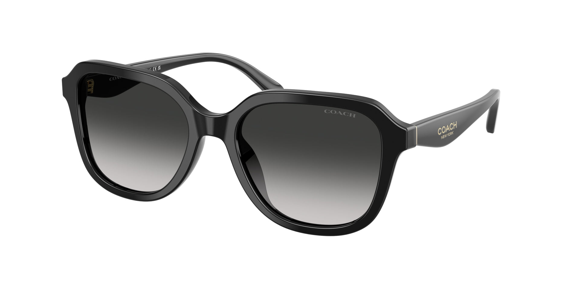 Coach HC8437F Black Sunglasses