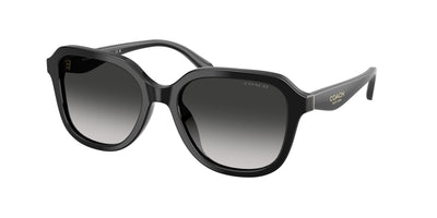 Coach HC8437F Sunglasses
