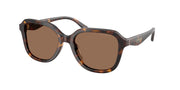 Coach HC8437F Dark Tortoise Sunglasses