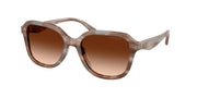 Coach HC8437F Striated Redwood/Maple Sunglasses
