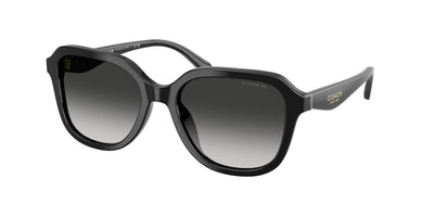 Coach HC8437U Sunglasses