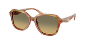 Coach HC8437U Striated Bark/Moss Sunglasses