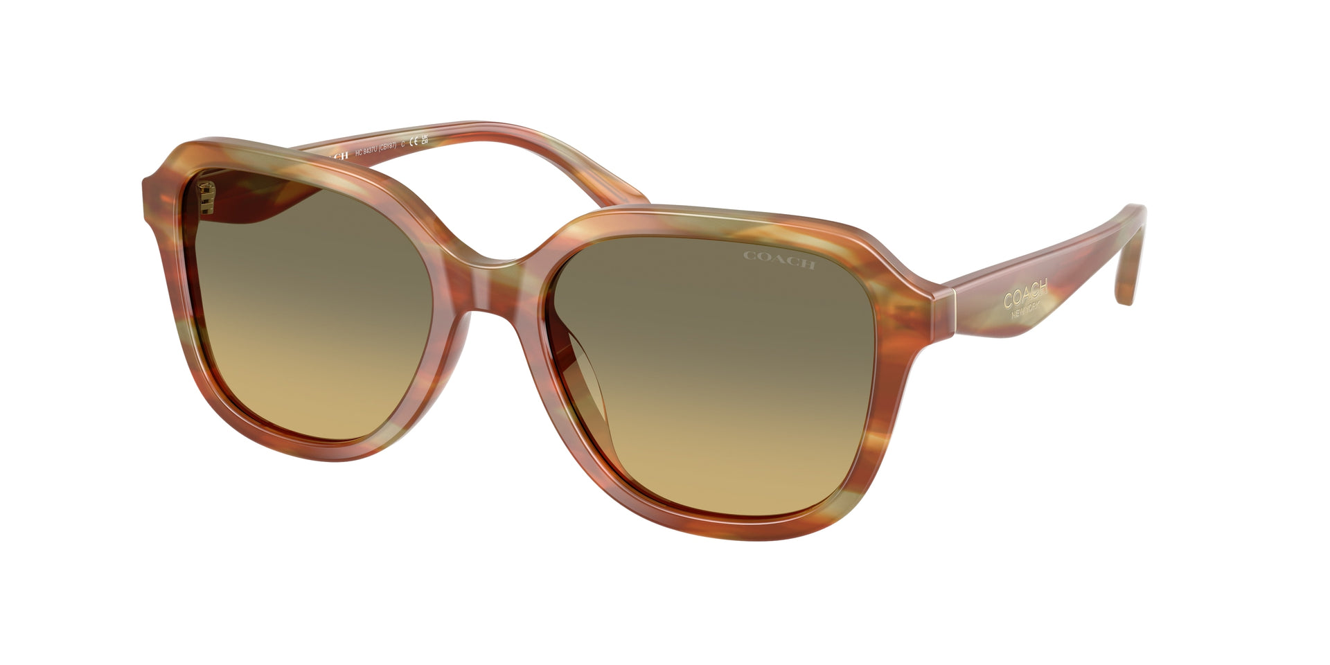 Coach HC8437U Striated Bark/Moss Sunglasses