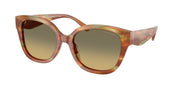 Coach HC8438U Striated Bark/Moss Sunglasses