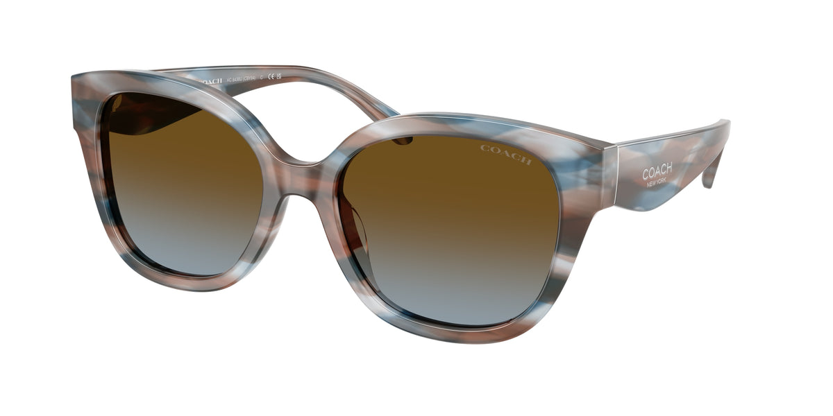 Coach HC8438U Striated Maple/Blueberry Sunglasses