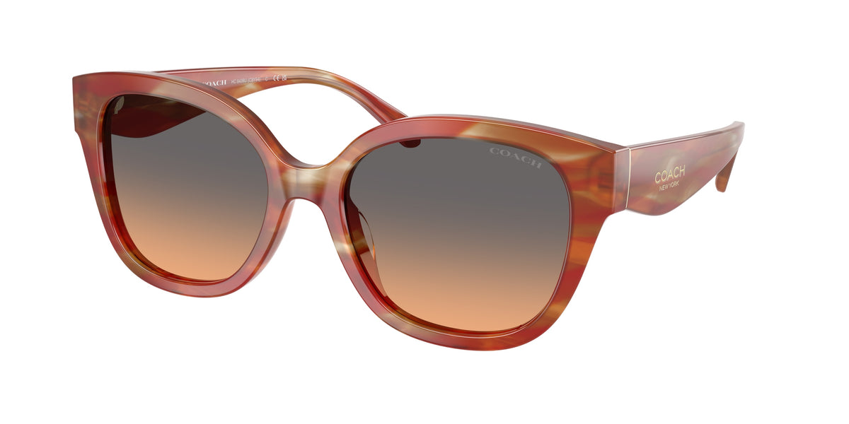 Coach HC8438U Striated Chestnut Sunglasses