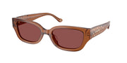 Coach HC8439U Transparent Brown Sunglasses