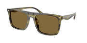 Coach HC8440U Olive Stripes Sunglasses