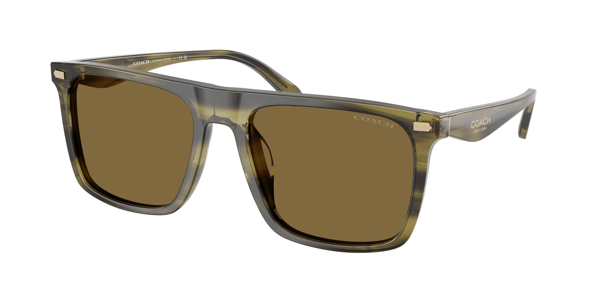 Coach HC8440U Olive Stripes Sunglasses