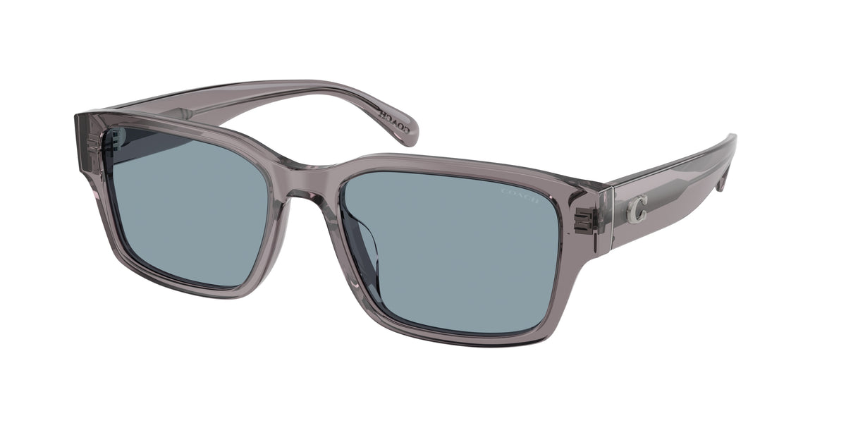 Coach HC8441U Transparent Grey Sunglasses