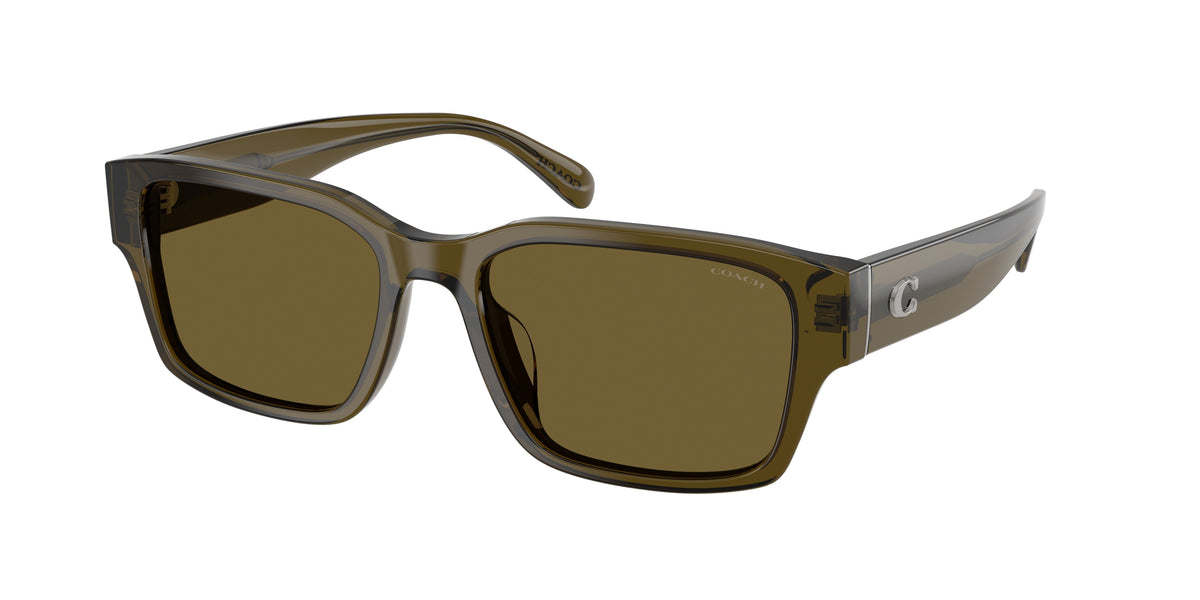 Coach HC8441U Transparent Olive Sunglasses