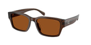Coach HC8441U Transparent Brown Sunglasses
