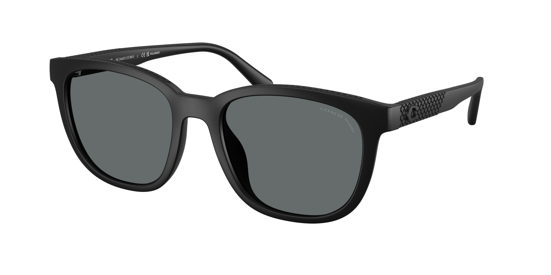 Coach HC8442U Matte Black Sunglasses