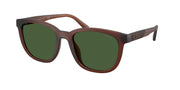 Coach HC8442U Matte Transparent Brown Sunglasses