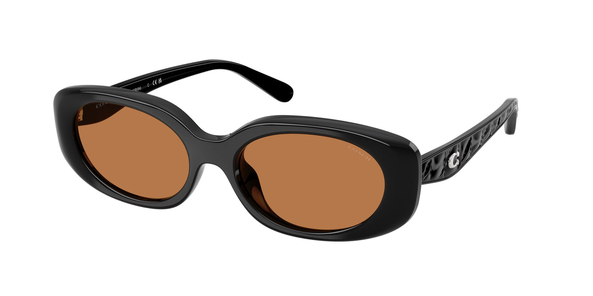 Coach HC8443D Black Sunglasses