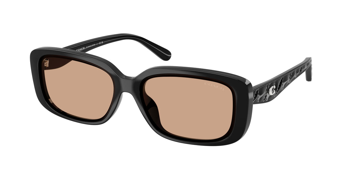 Coach HC8444D Black Sunglasses