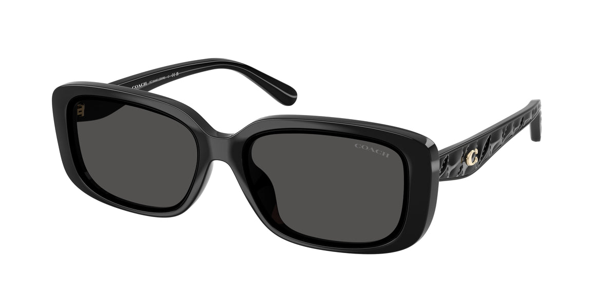 Coach HC8444D Black Sunglasses