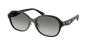 Coach HC8445D Black Sunglasses