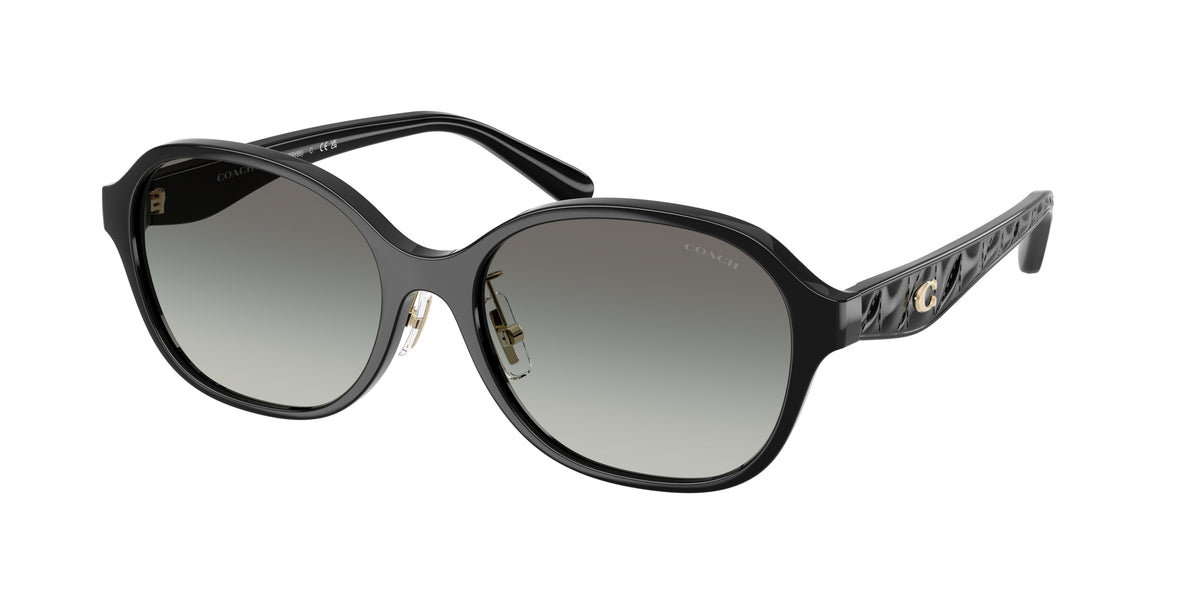 Coach HC8445D Black Sunglasses