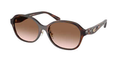 Coach HC8445D Sunglasses