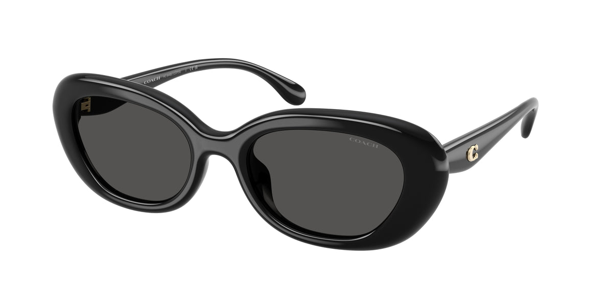 Coach HC8448U Black Sunglasses