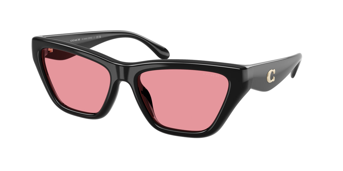 Coach HC8449U Black Sunglasses